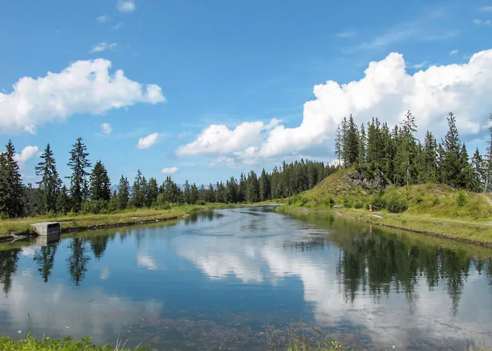 Lejlighed Schanzlbichl-1 By Interhome Fügen